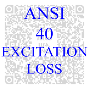 Excitation Loss Protection